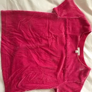 Pink Velvet JCrew Top Size 2